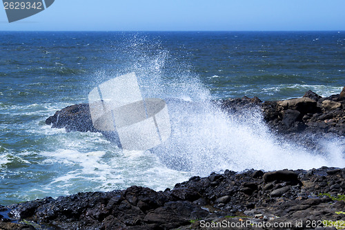 Image of At the Oregon Coast