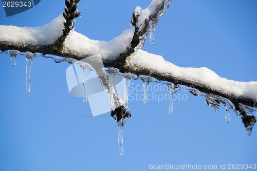 Image of Ice and snow in the morning