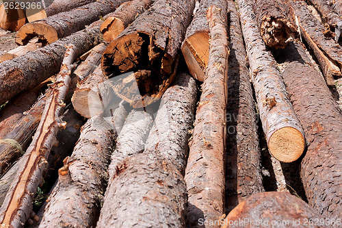 Image of Preparing the winter time