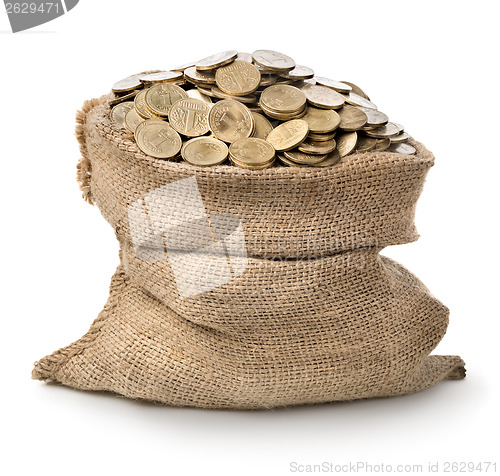 Image of Bag with coins