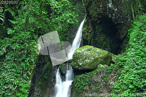 Image of Deep forest waterfall 