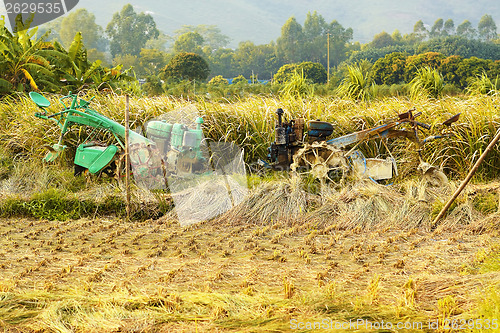 Image of tractor on rice farm