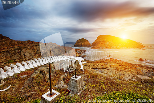 Image of whale bone in Cape D'Aguilar Peninsula, landmark in hongkong She