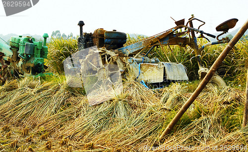 Image of tractor on rice farm