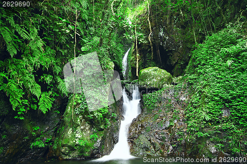 Image of Deep forest waterfall 