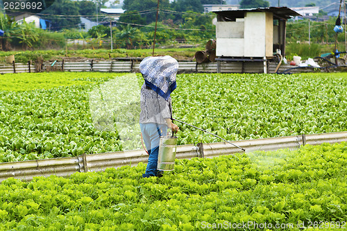 Image of Cultivated land and farmer spraying 