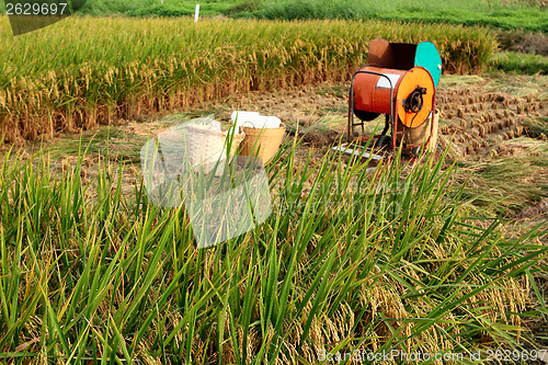 Image of Vintage rice wood machine 