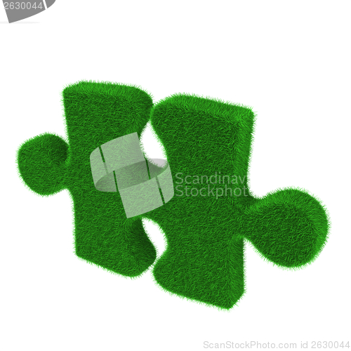 Image of Green grass puzzle piece