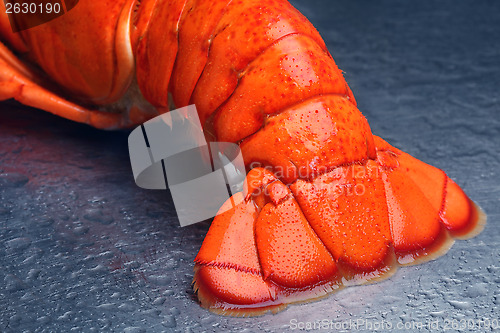 Image of Lobster tail