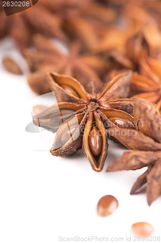 Image of Whole Star Anise isolated on white background