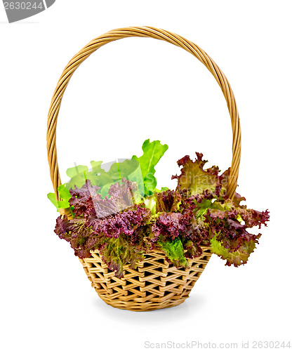 Image of Lettuce green and red in a wicker basket