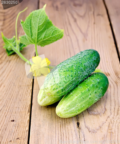 Image of Cucumber with flower on a blackboard