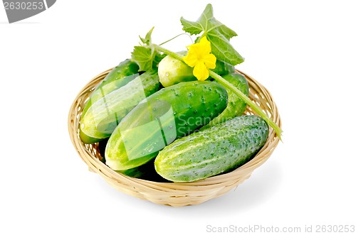 Image of Cucumber with flower in a wicker basket