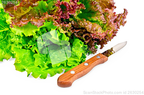 Image of Lettuce green and red with a knife