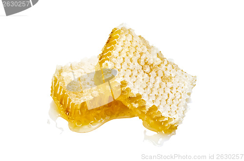 Image of Honeycomb