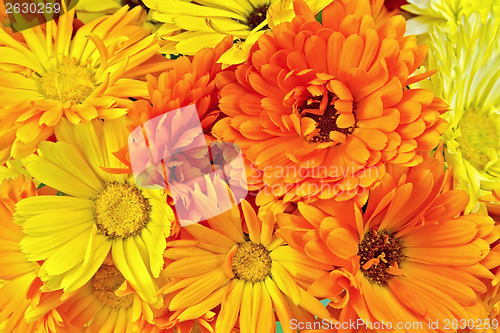 Image of Calendula flowers yellow and orange bouquet