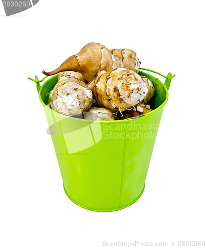 Image of Jerusalem artichokes in a green bucket