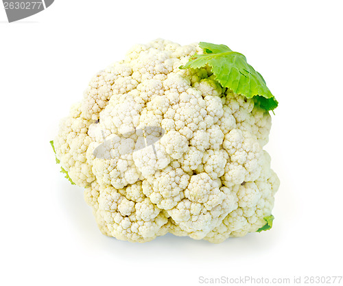 Image of Cauliflower with leaf