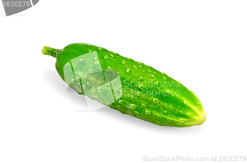 Image of Cucumber green one