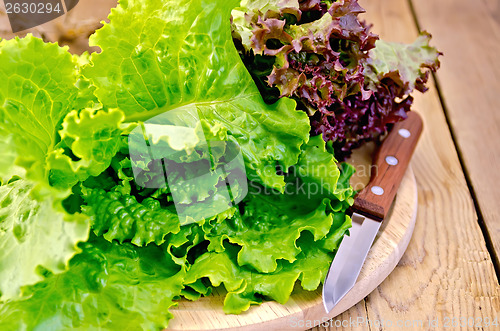 Image of Lettuce green and red with a knife on board