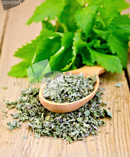 Image of Herbal tea of mint leaves dry on a spoon