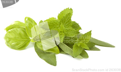 Image of herbs