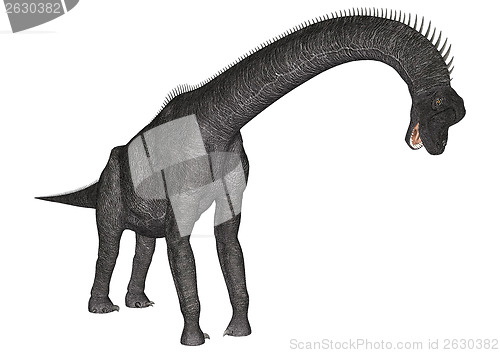 Image of Dinosaur Brachiosaurus