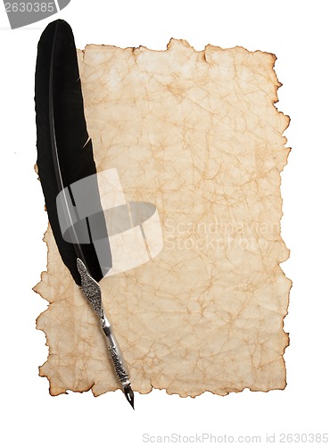 Image of Quill