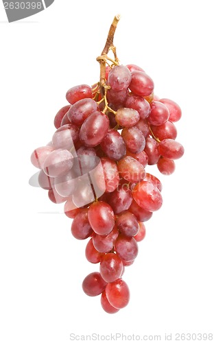 Image of Grapes