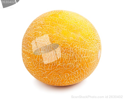 Image of Melon