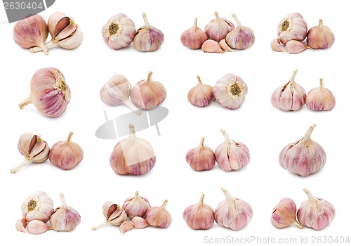 Image of Garlic