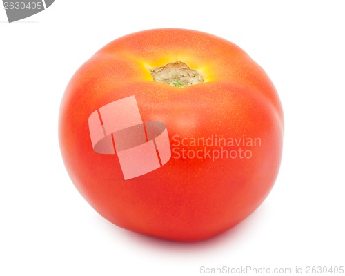 Image of Tomato