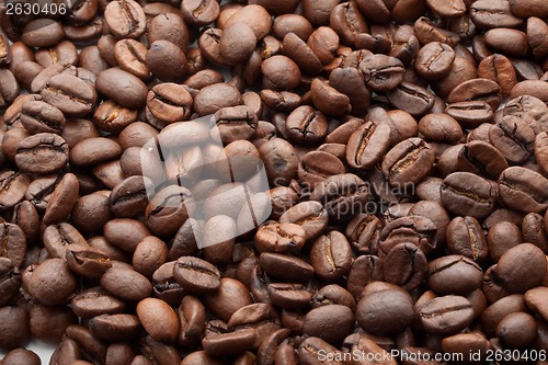 Image of Coffee beans