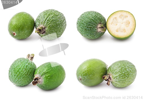 Image of Feijoa