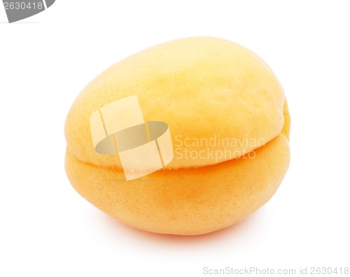 Image of Apricot
