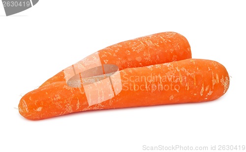 Image of Carrot