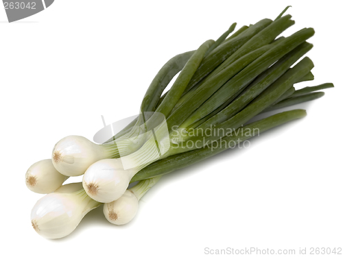 Image of onion