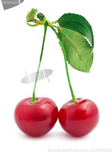 Image of Red cherry