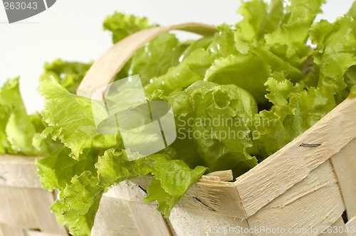 Image of salad