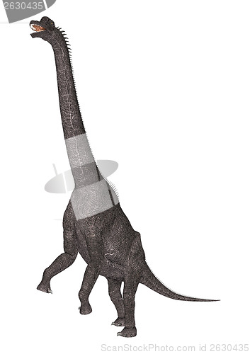 Image of Dinosaur Brachiosaurus