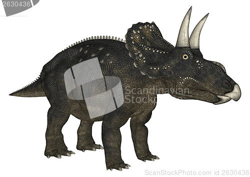 Image of Dinosaur Diceratops