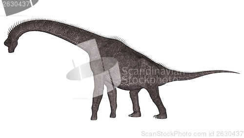 Image of Dinosaur Brachiosaurus