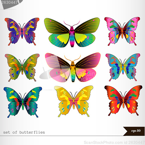 Image of Set of different multicolored butterflies