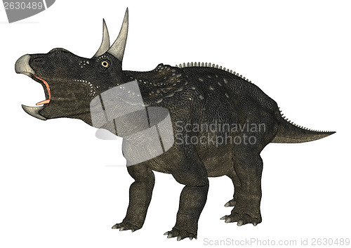 Image of Dinosaur Diceratops