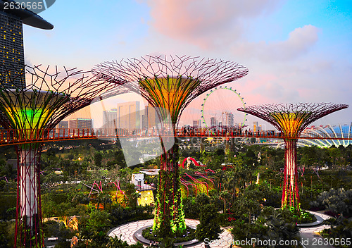 Image of Gardens by the Bay, Singapore