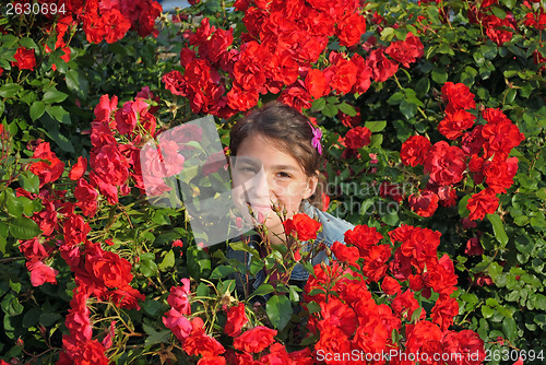 Image of Girl and roses.