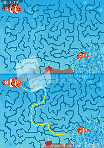 Image of Clown fish maze