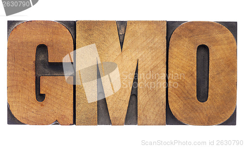 Image of GMO acronym in wood type