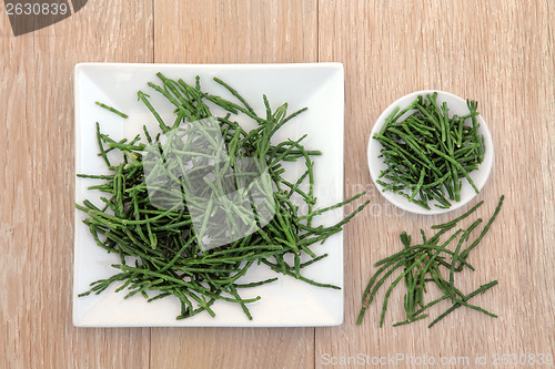 Image of Samphire