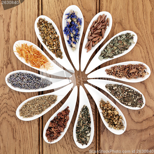 Image of Natural Herbal Medicine